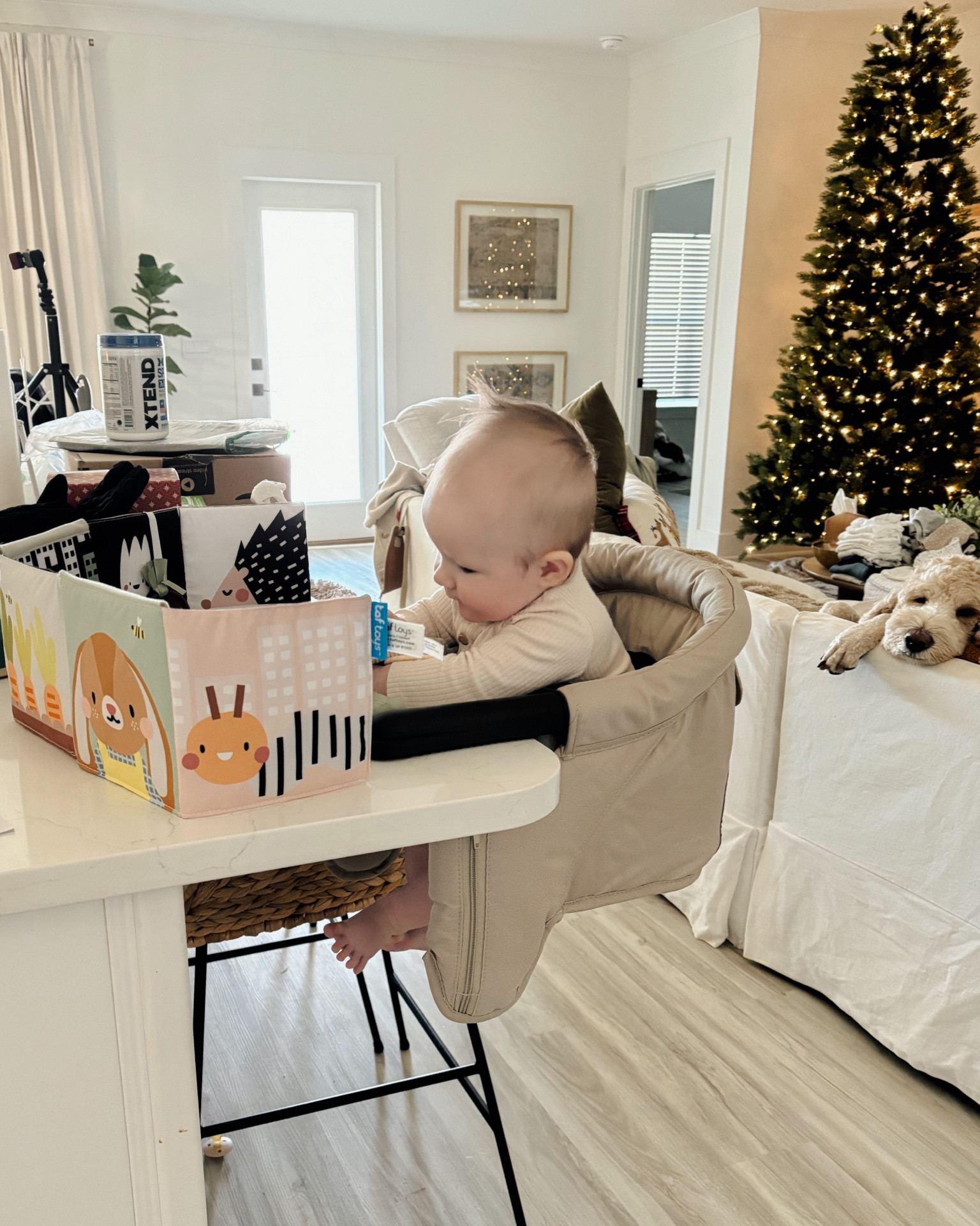 Portable high chair ☺️

#LTKHome #LTKBaby