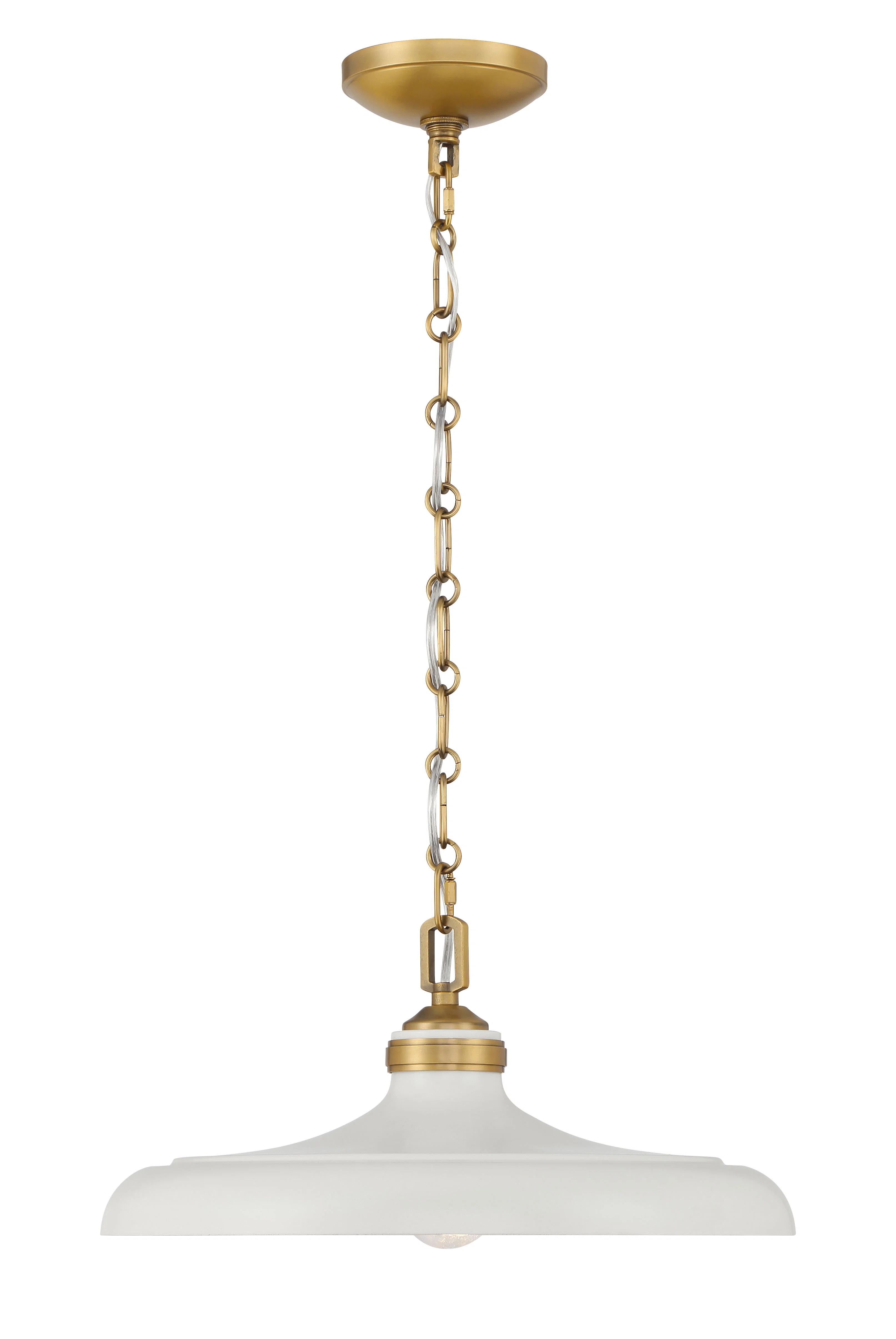 1 LIGHT PENDANT | Wayfair North America