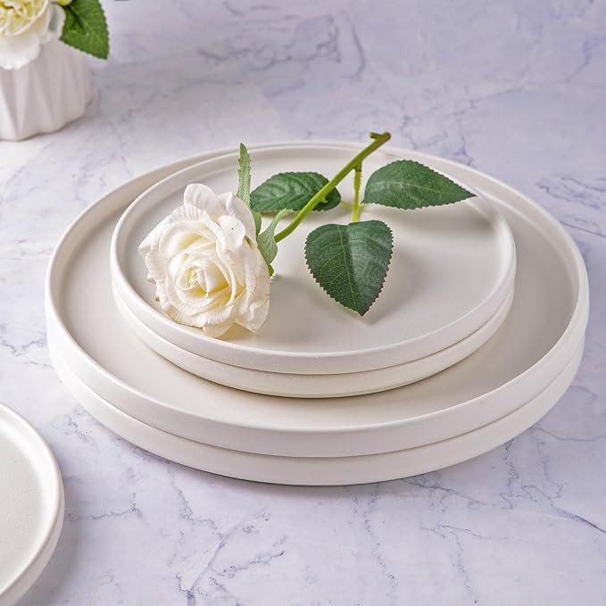 AmorArc Stoneware Dinner Plates Set of 4, 10.25 Inch Reactive Matte Glaze Ceramic Plates Set, Mod... | Amazon (US)