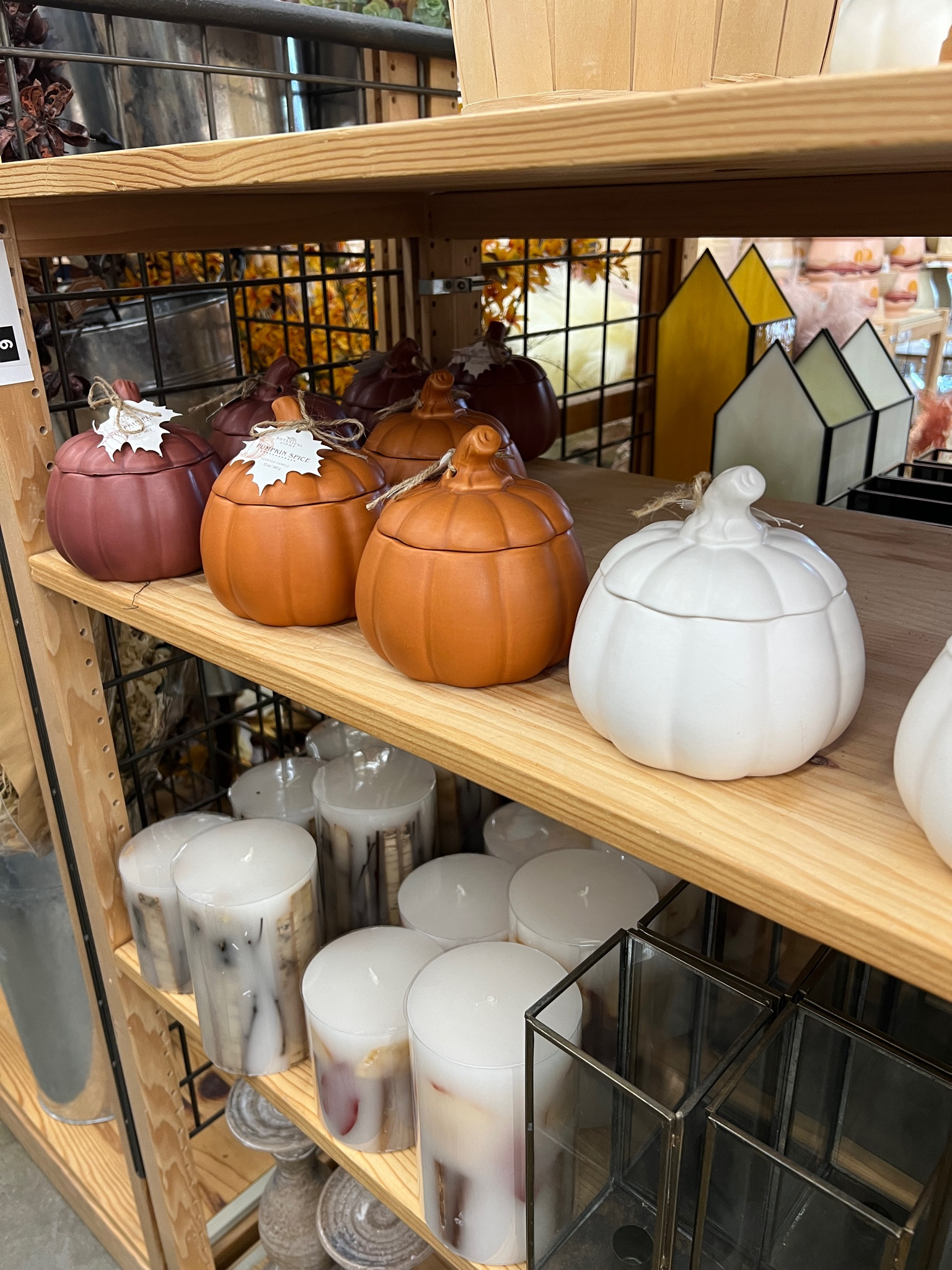 World market pumpkin candles! 

#LTKSeasonal #LTKunder50 #LTKhome
