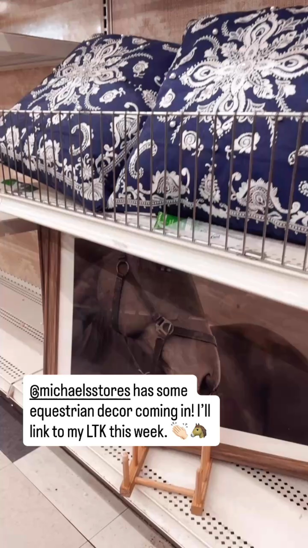 Michaels Craft Store has some new western equestrian decor available! 👏🏻🐴

There are some cute faux leather storage boxes and a really pretty black and white horse print. 

#home #decor #horses #horselover #neutraldecor

#LTKSaleAlert #LTKselfcare #LTKmomlife