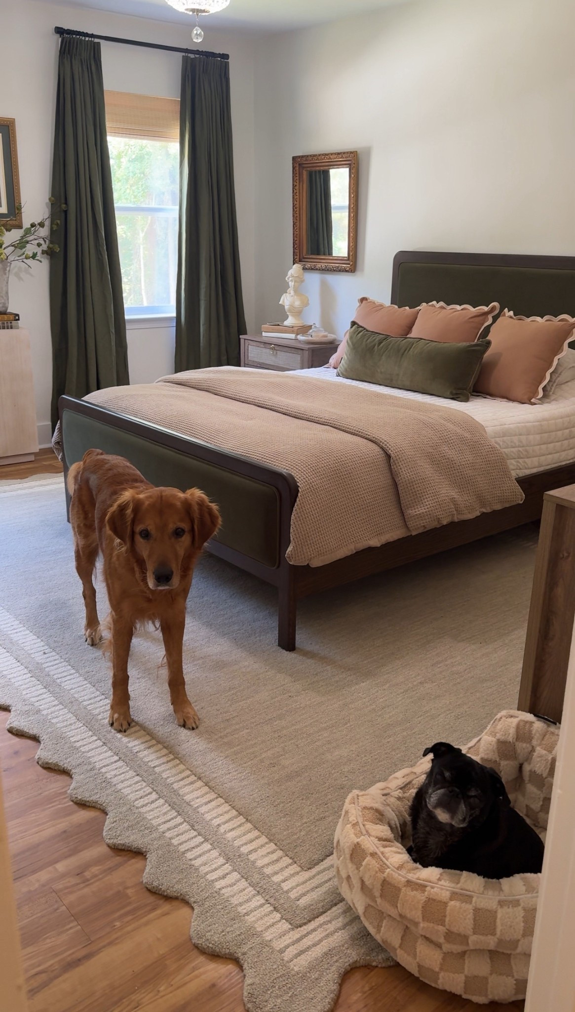 Guest bedroom sources! 

#LTKHome #LTKSaleAlert #LTKStyleTip