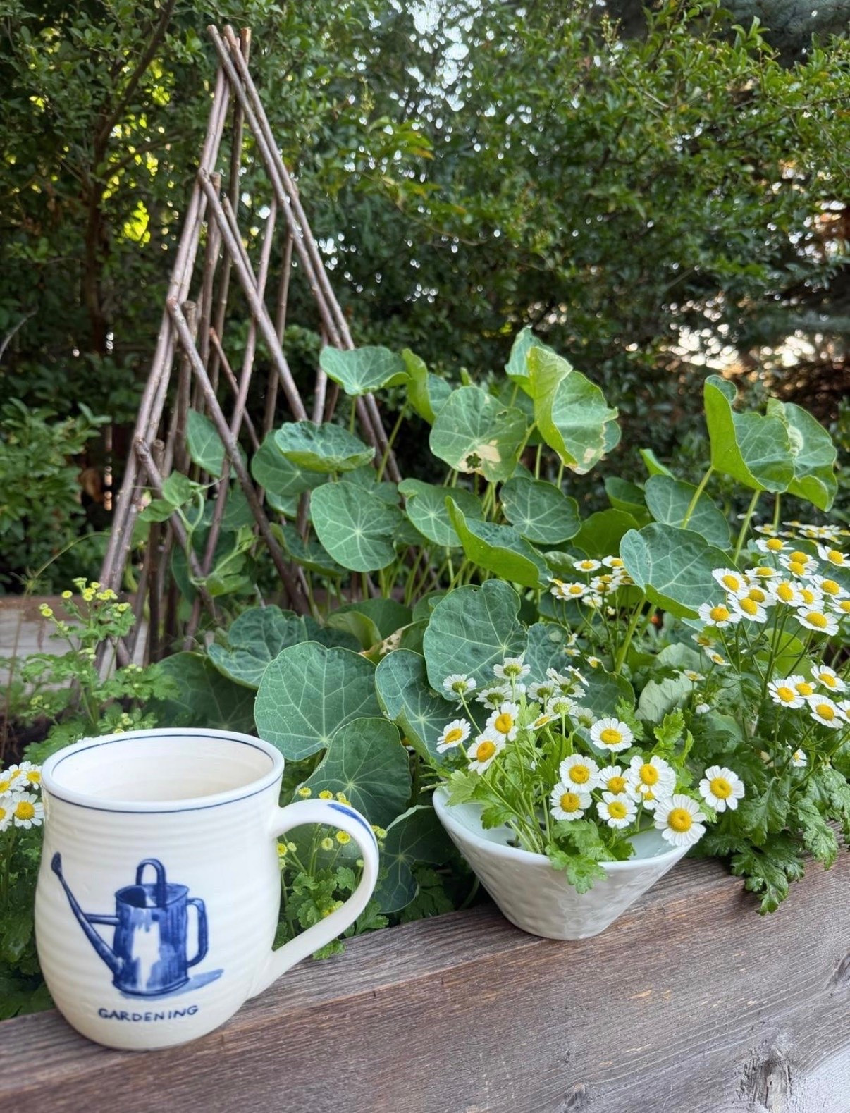 Favorite mug and vase combo!

#LTKSeasonal #LTKSaleAlert #LTKHome
