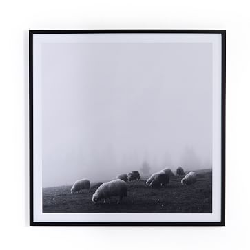 Framed Print - Sheep Hills | West Elm (US)