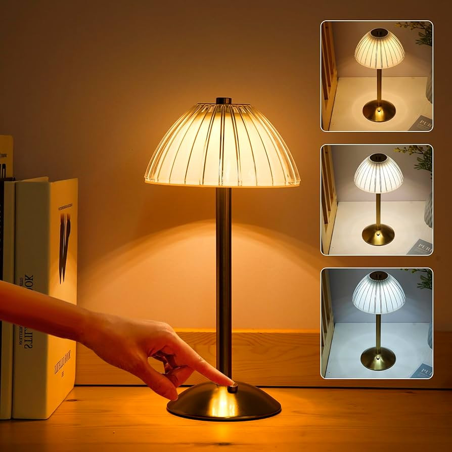 LIXADA Rechargeable Cordless Table Lamp USB LED Battery Desk Lamp with Touch Control Dimmable 3 L... | Amazon (US)