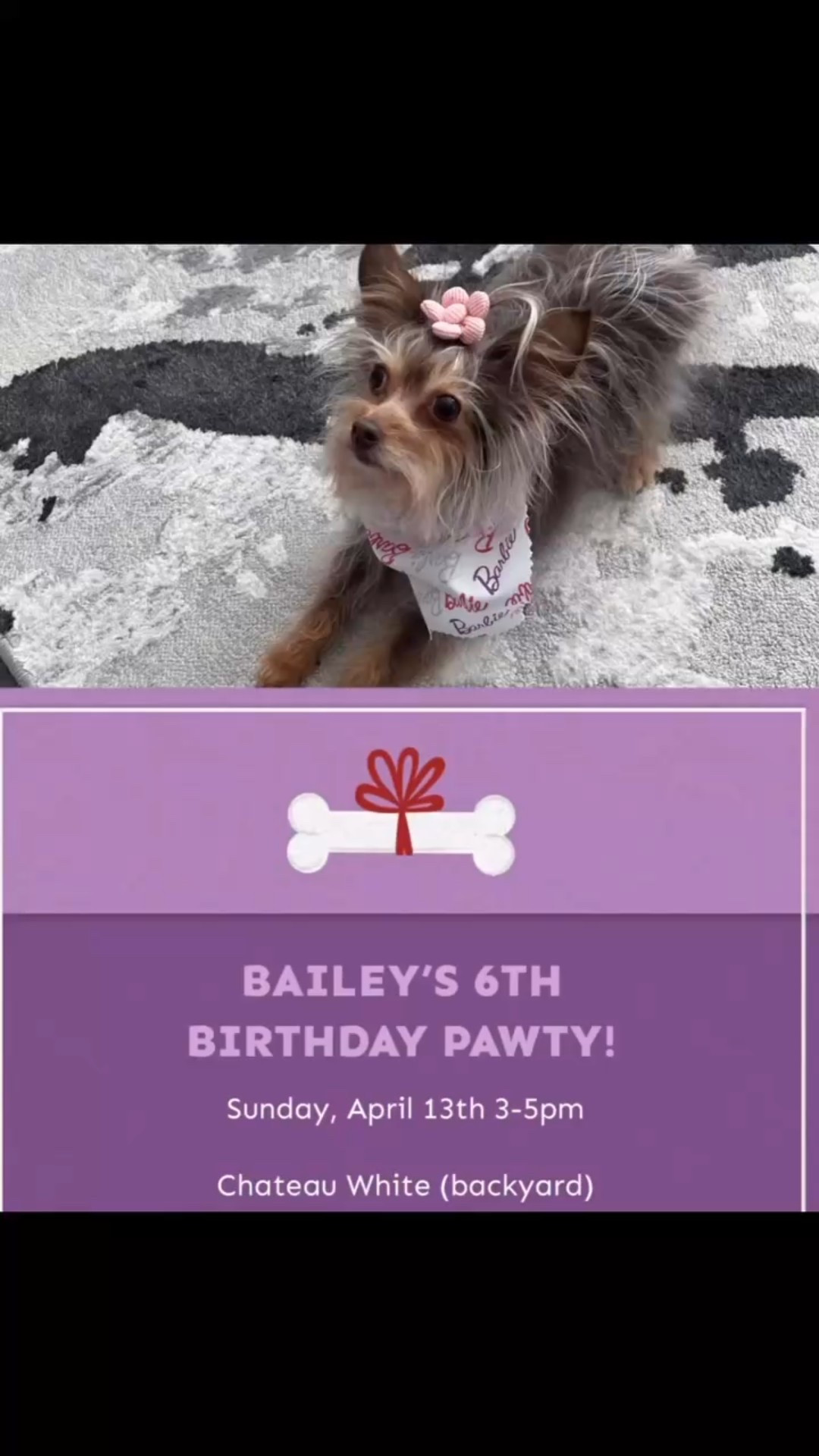 POV: You decide to throw a birthday party for your dog 🐶🩷

This is my first voiceover video and I am out of breath 😂😂😂

The party was so much fun and everything turned out well! Thanks again to my guests for coming and bringing their fur babies and kids ☺️🙌🏾

#dogbirthdayparty #pawtytime #birthdaybash #instadog

#LTKPets #LTKParties #LTKHome