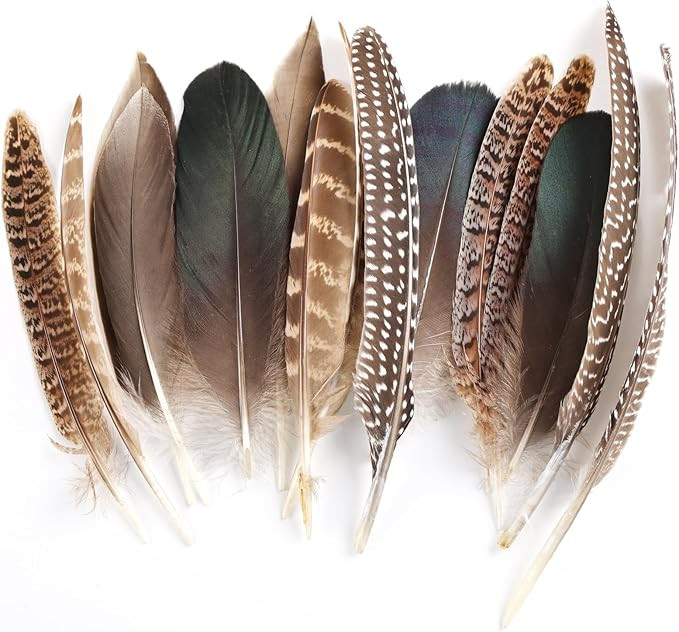 Daieeparty 15pcs Pheasant Feathers 5-8inch Natural Craft Feather for Home DIY Dreamcatcher Hat Co... | Amazon (US)