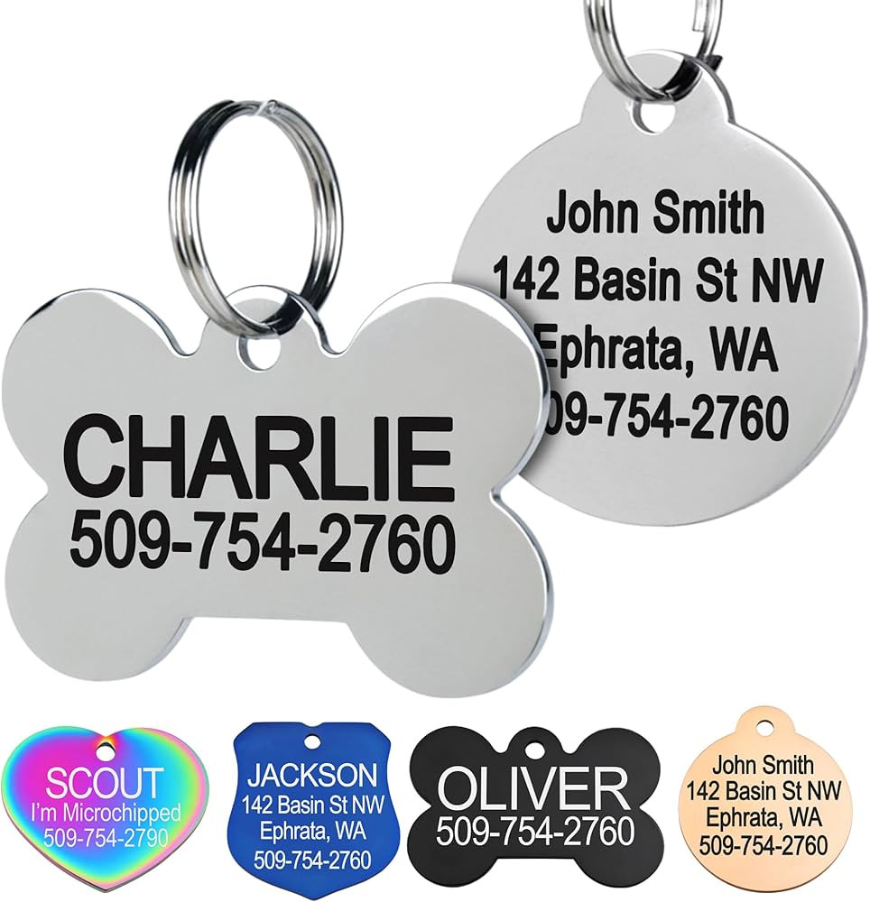 GoTags Stainless Steel Pet ID Tags, Personalized Dog Tags and Cat Tags, up to 8 Lines of Custom T... | Amazon (US)