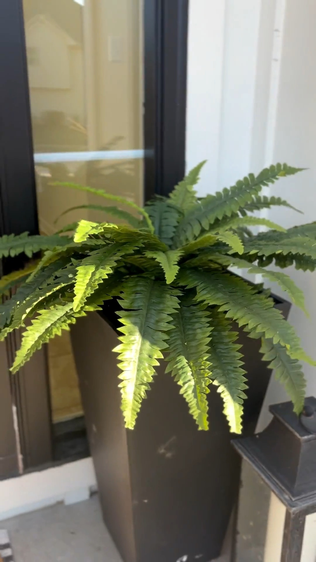 These faux ferns are super adorable and almost look real!  So perfect for porch or hanging planters!

#LTKHome #LTKOver40
