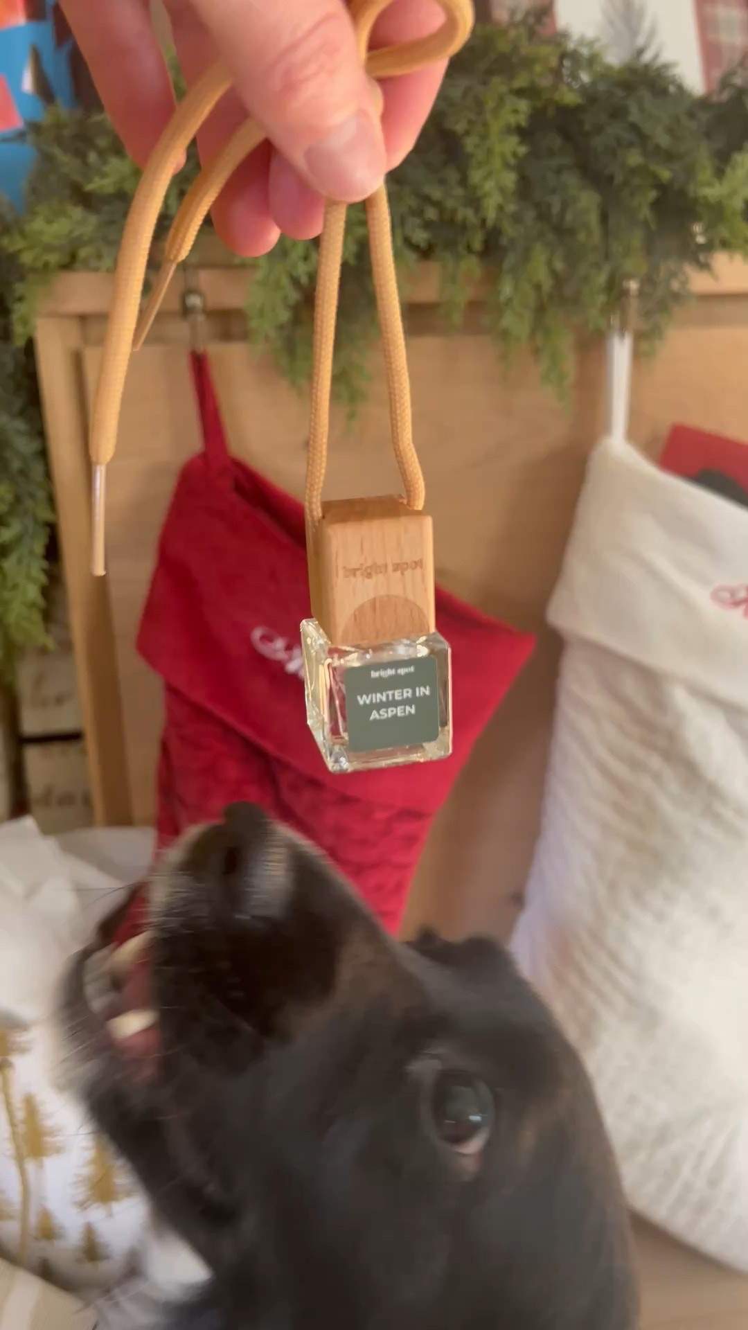 Stocking stuffer ideas 🎄 
Loving this car freshener that is a great gift for anyone. Eco friendly 🌱 , NON TOXIC  🙌, Vegan and cruelty free 🐰. Bright Spot is the perfect gift to fill everyone’s stockings this holiday season. They have a great sale going on now and are priced wonderfully under $10. In addition to car fresheners, they are have room sprays to make your home more inviting and odor free for all your holiday entertaining needs. Fragrances range from fruity, woody, and floral 🌺 #ad #gifted @shopbrightspot #brightspot #shopbrightspot

#LTKHoliday #LTKGiftGuide #LTKHome