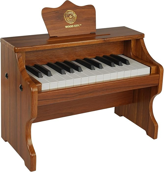 Wood City Wooden Piano Toys (25 Keys) Mini Music Educational Instrument Toy Toddler Baby Kids Pia... | Amazon (US)
