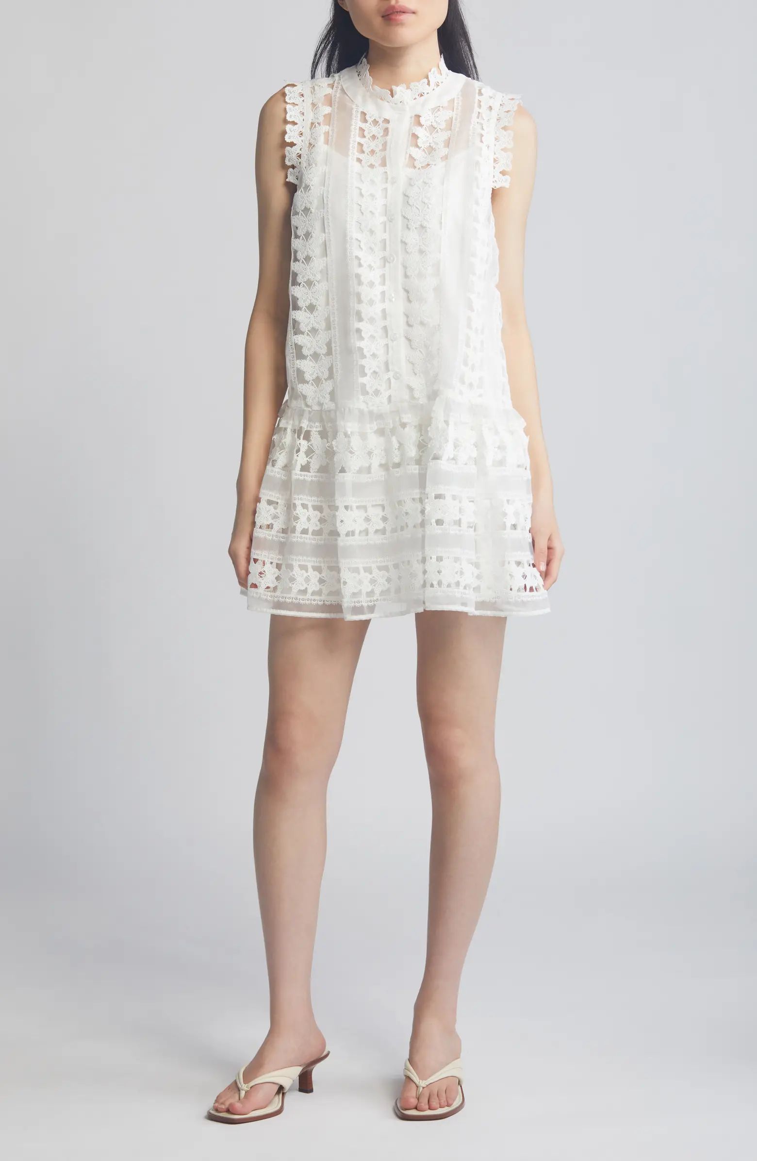Cara Butterfly Lace Shift Dress | Nordstrom