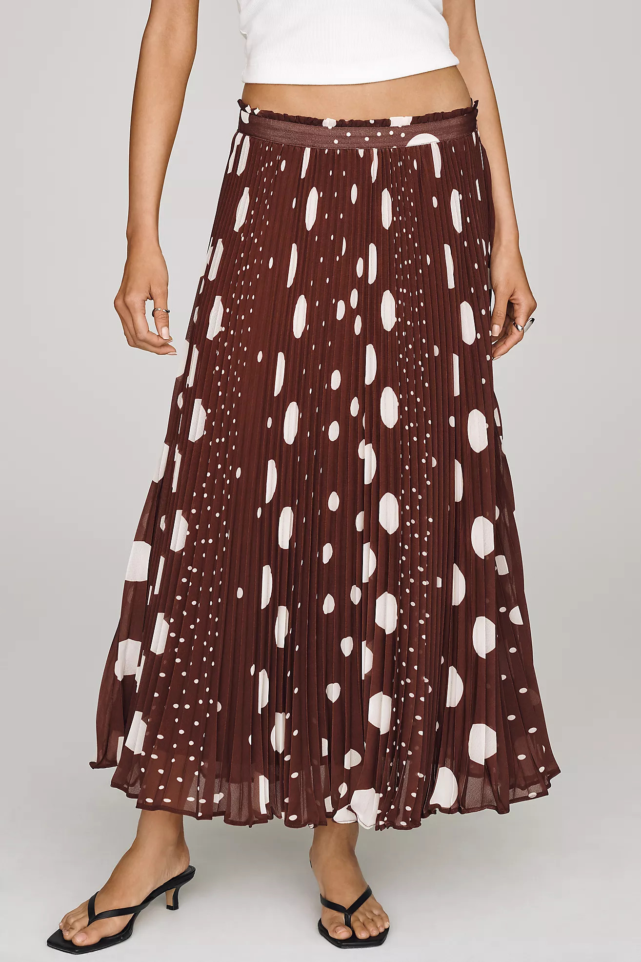 Sheer Pleated Maxi Skirt | Anthropologie (US)
