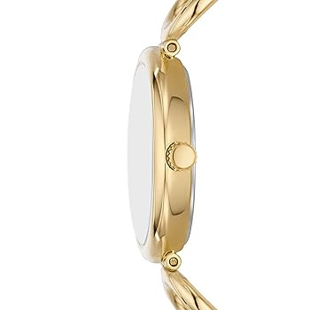 Fossil Women's Carlie Quartz Stainless Steel Three-Hand Watch | Amazon (US)