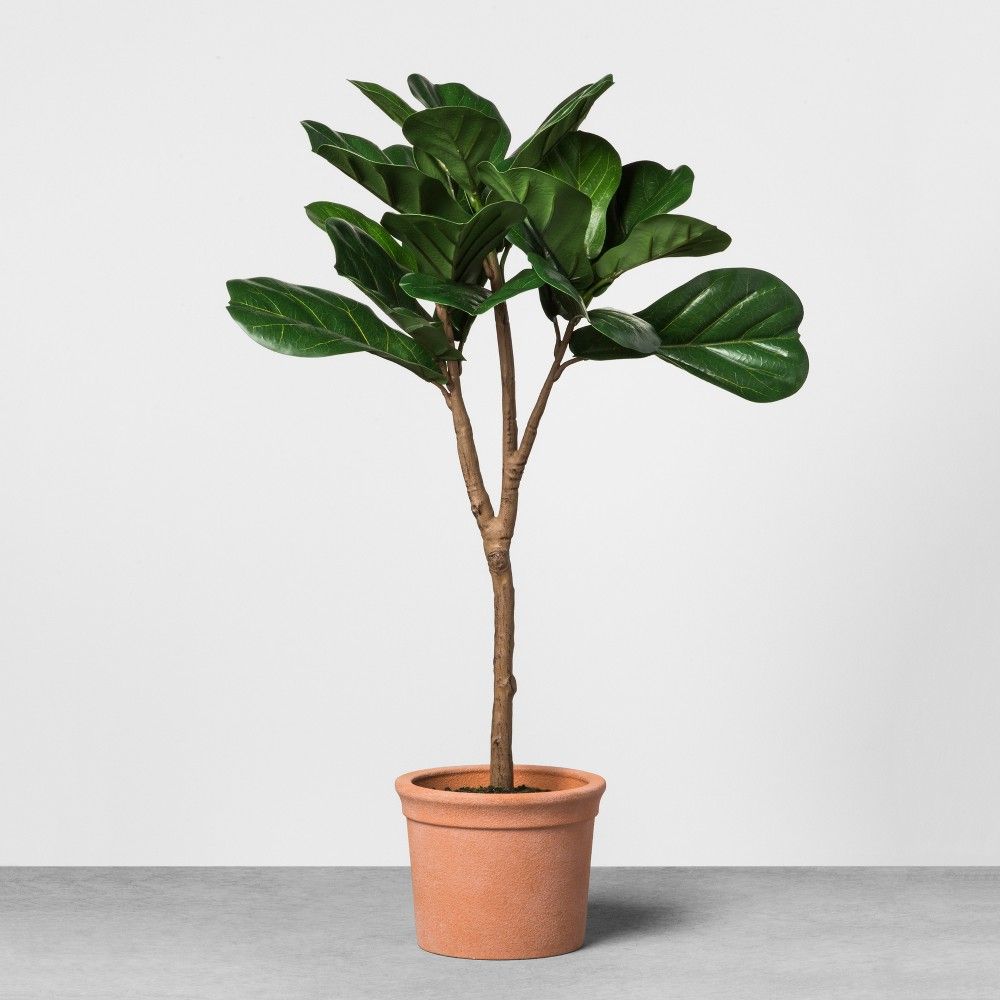 Faux Fiddle Leaf Plant in Terracotta Pot Medium - Hearth & Hand with Magnolia, Multicolored | Target