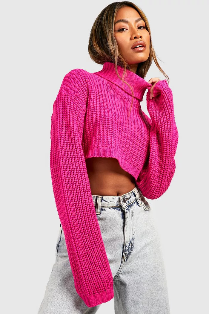 Basic Turtleneck Crop Sweater | Boohoo.com (US & CA)