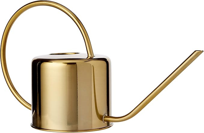 Kikkerland WC01 Vintage Watering Can | Amazon (US)