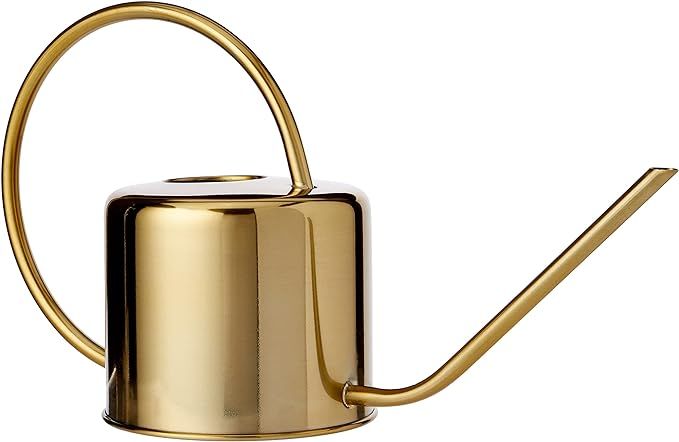 Kikkerland WC01 Vintage Watering Can | Amazon (US)