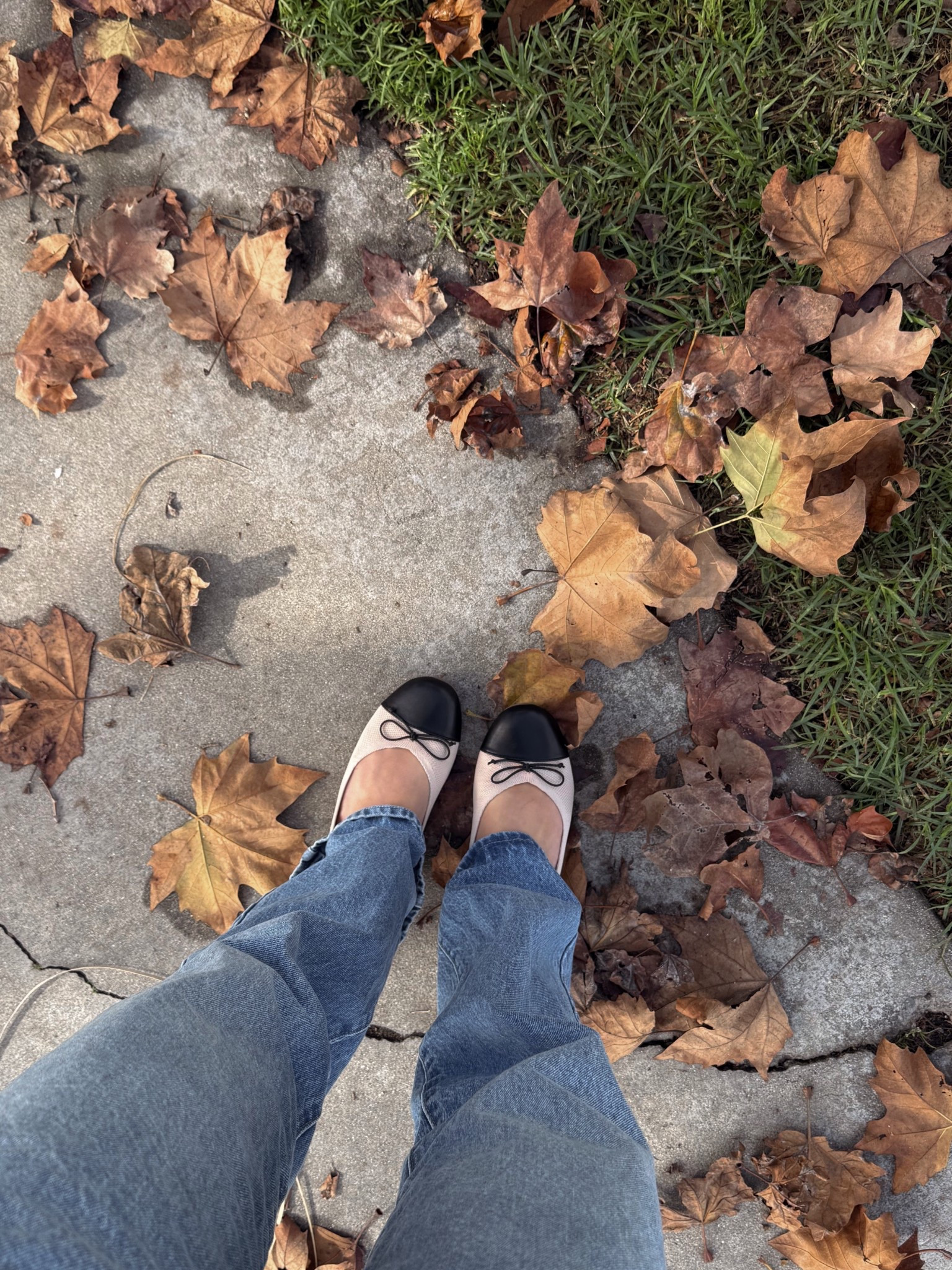 Ballet flats 🖤

#LTKStyleTip #LTKFindsUnder100