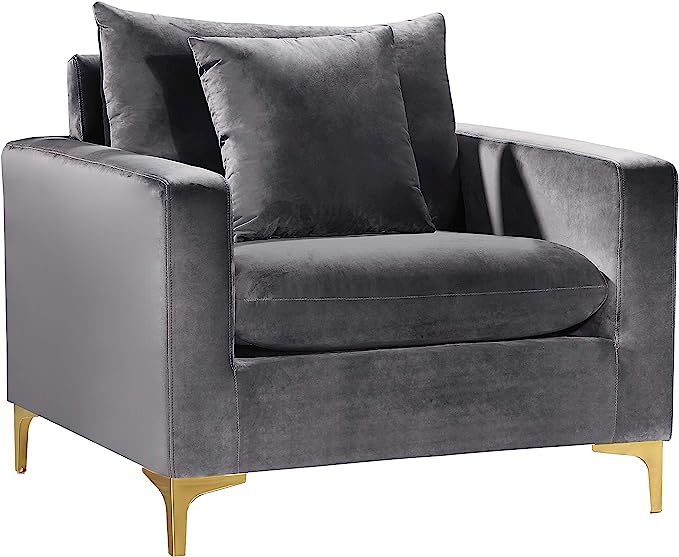 Meridian Furniture 633Grey-C Naomi Collection Modern | Contemporary Velvet Upholstered Chair with... | Amazon (US)