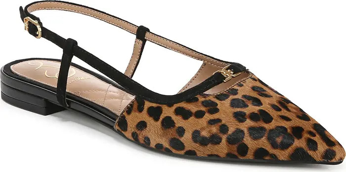 Sam Edelman Cohen Pointed Toe Flat (Women) | Nordstrom | Nordstrom