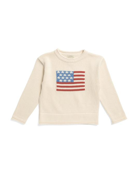 Toddler American Flag Crew Neck Sweater | TJ Maxx