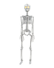 32in Led Disco Skeleton | Marshalls