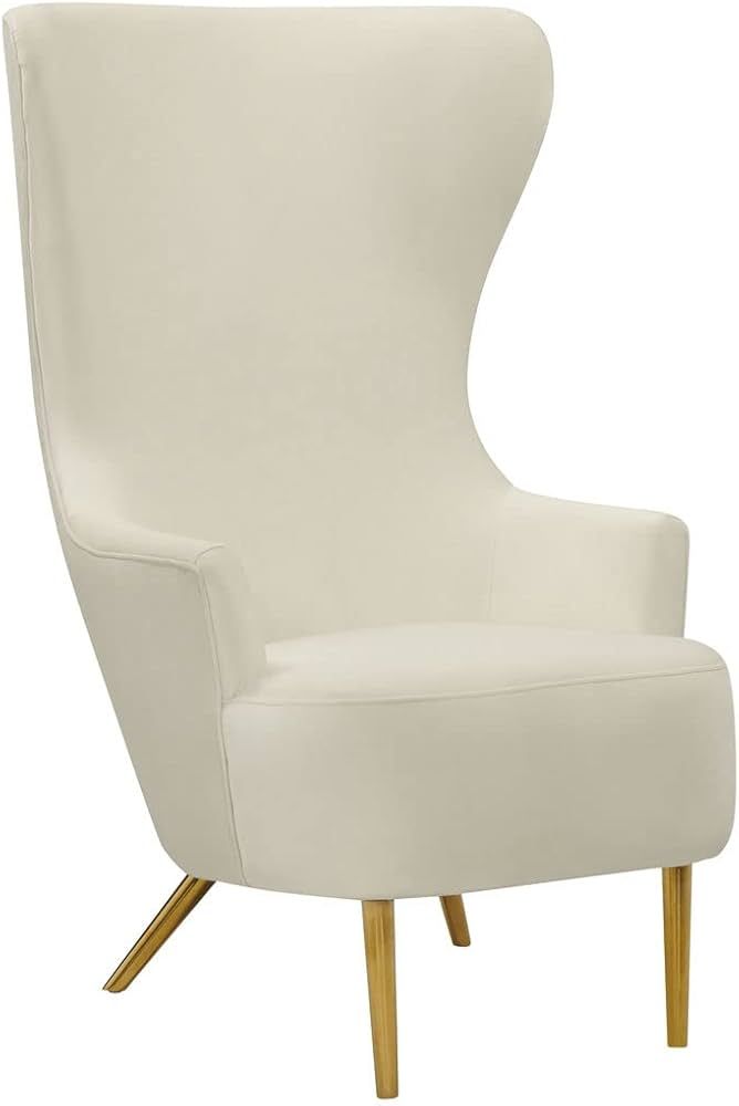 TOV Furniture Julia 19.7" Modern Velvet Upholstered Wingback Chair in Cream | Amazon (US)