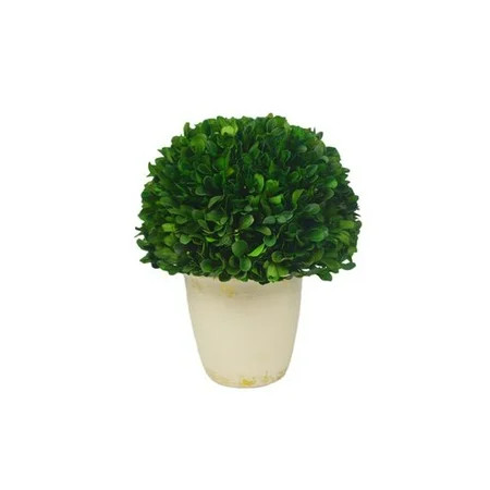 Fleur De Lis Living Boxwood Ball Topiary in Pot | Walmart (US)