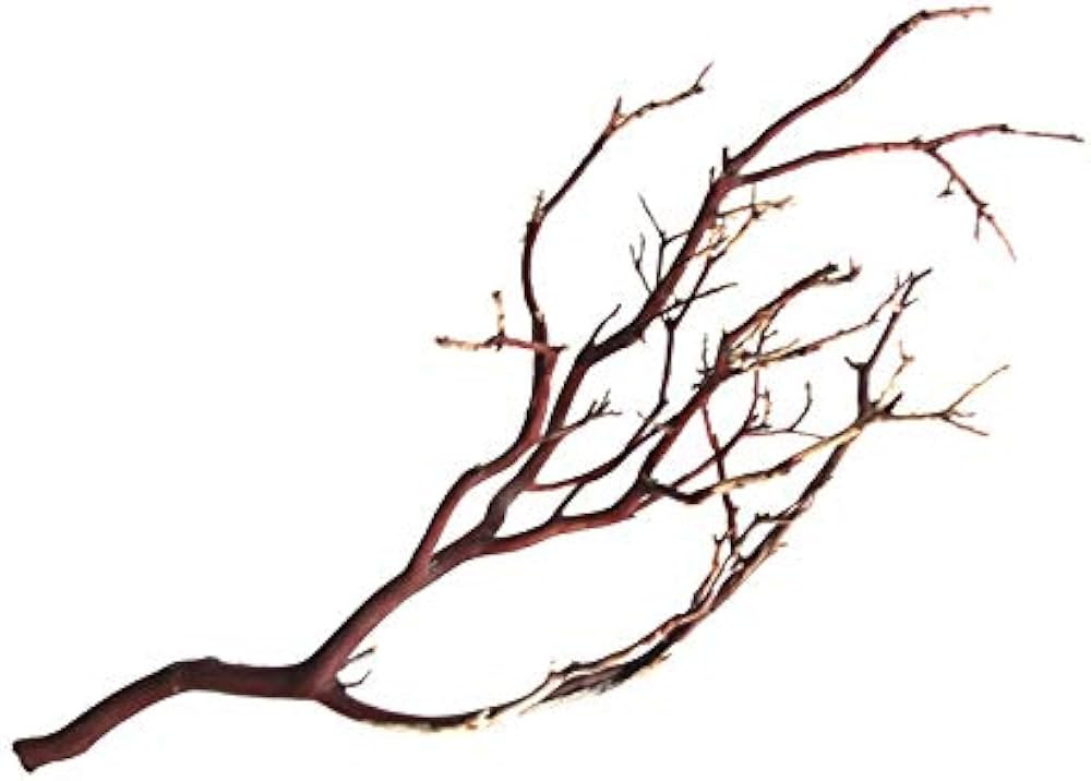 Kahee's Plants Manzanita Branches from Real Manzanita, Natural Brown 24" | Amazon (US)