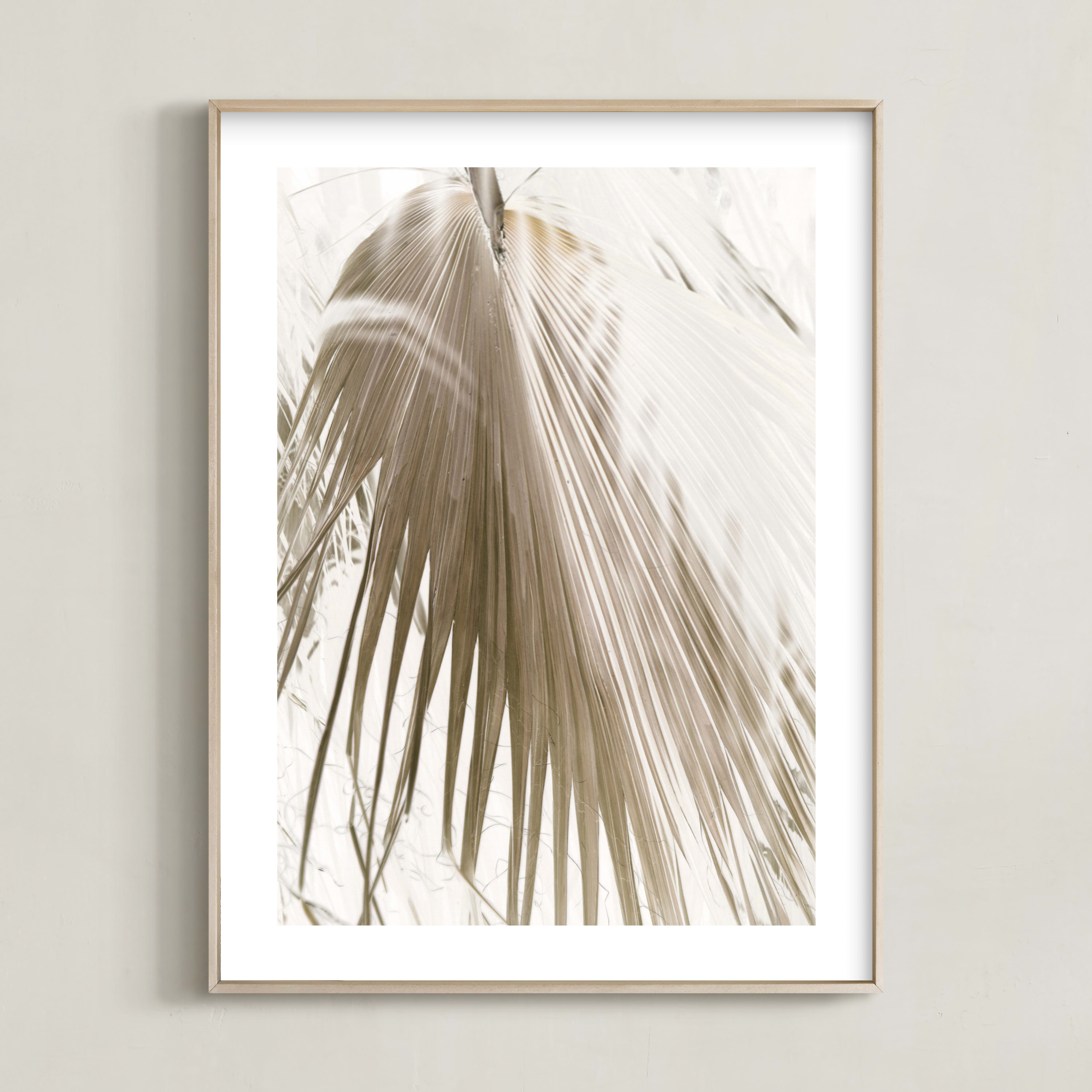 "Vanilla Palm" - Photography Limited Edition Art Print by Owl and Toad. | Minted