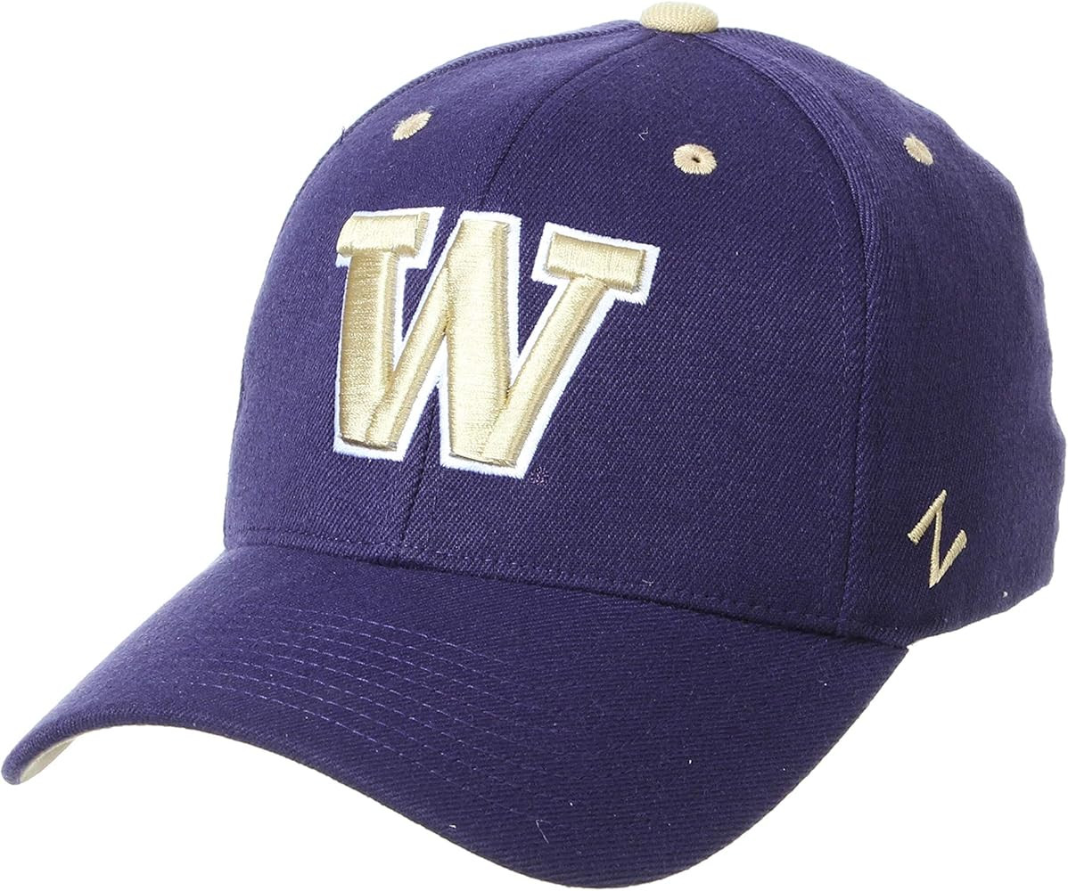 ZHATS NCAA Mens Stretch Fitted Hat Team Color | Amazon (US)