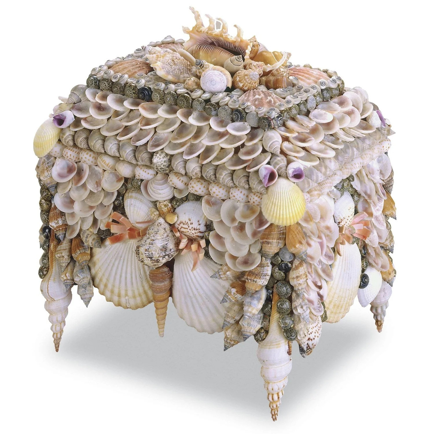 Boardwalk Shell Jewelry Box | Burke Decor