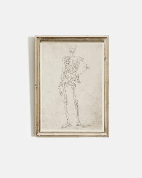 Printable Human Skeleton Sketch / Neutral Halloween Print / - Etsy | Etsy (US)