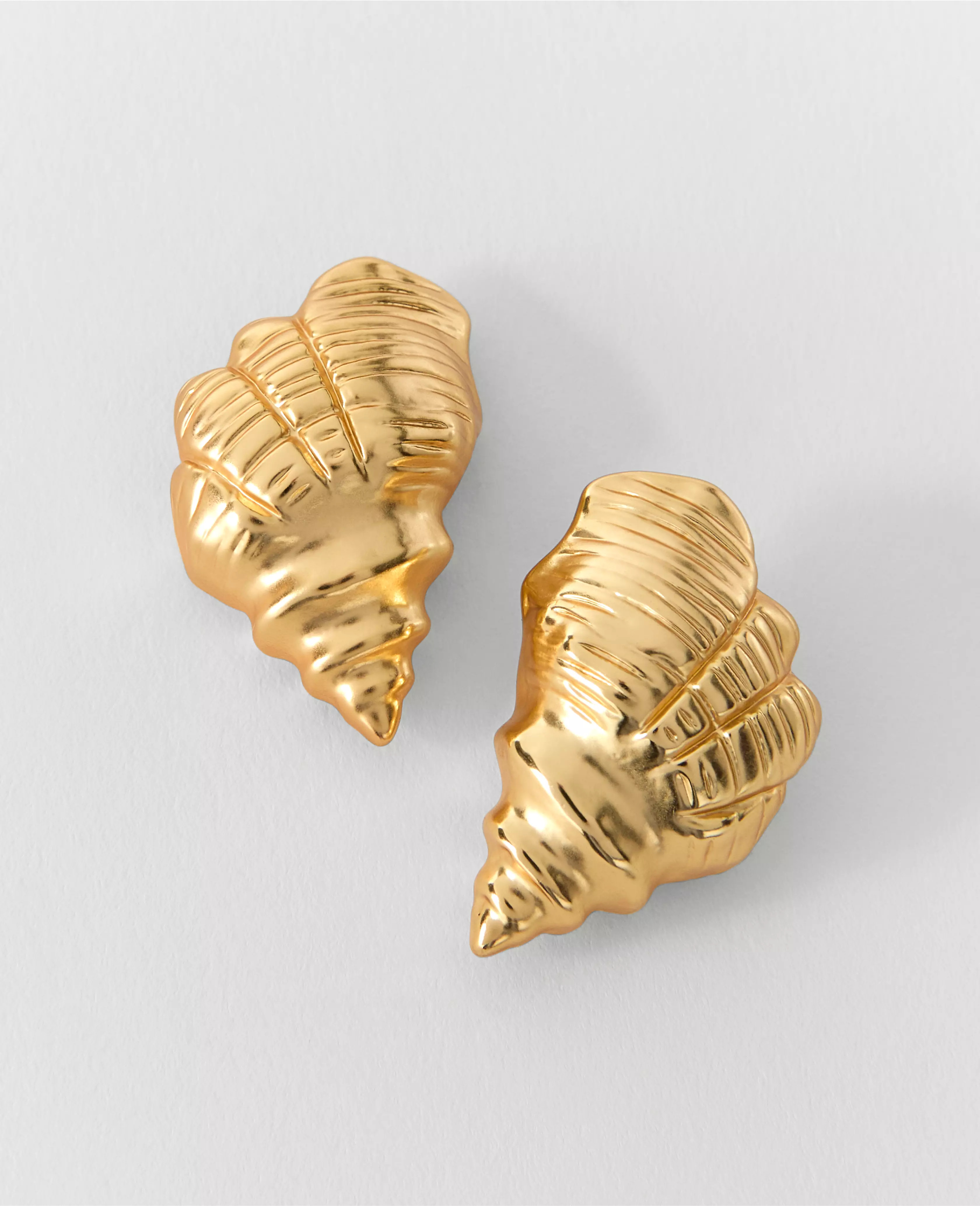 Shell Stud Earrings | Ann Taylor