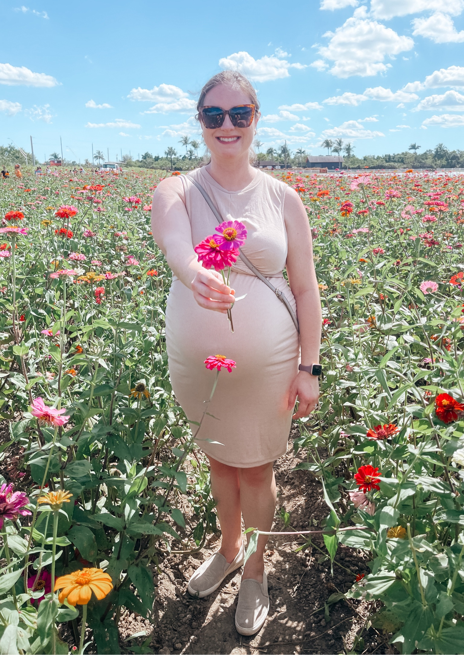 Saw beautiful zinnea flowers and snapped a picture at one of our fall festival farms in South Florida. Since it is still hot, I wore a sleeveless bodycon maternity beige dress with a twist front. 

Dress size: XL  

#LTKbump #LTKmidsize #LTKstyletip