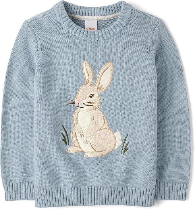 Gymboree Boys' and Toddler Embroidered Pullover Sweater | Amazon (US)