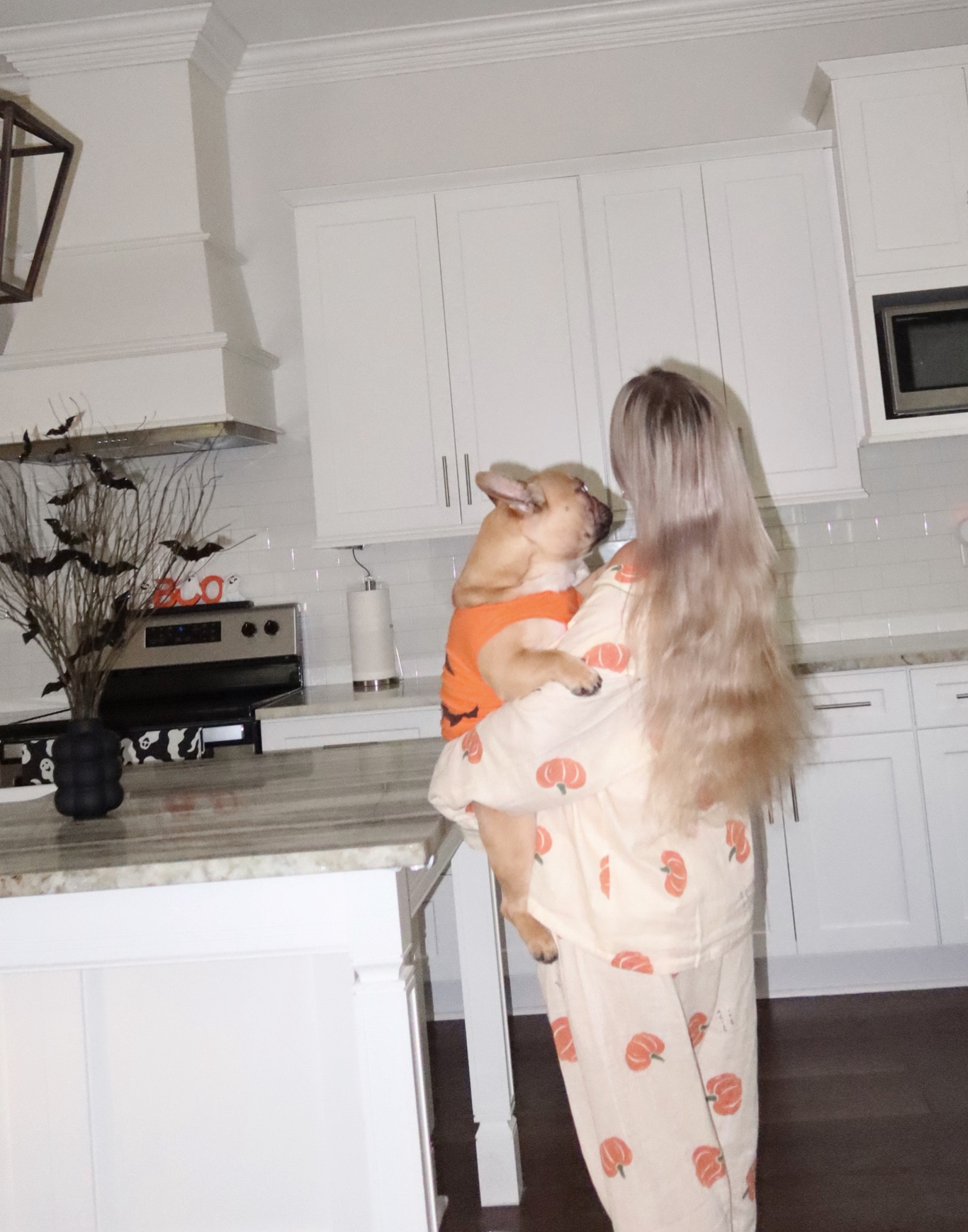 amazon pumpkin outfits - wearing size L in pajama pants set, Tubby’s wearing a M in his tee🐶🧡 

Fall amazon finds. Pumpkin pjs. Pumpkin pajamas. Fall pajamas. Halloween pajama. Pj set. Pajama pants set. Fall aesthetic. Fall home decor. Halloween home decor. Halloween aesthetic. Fall outfit. Fall loungewear. Dog Halloween costume. Pumpkin shirt. Dog fall finds. Pet finds. 

#LTKSeasonal #LTKhome #LTKfindsunder50