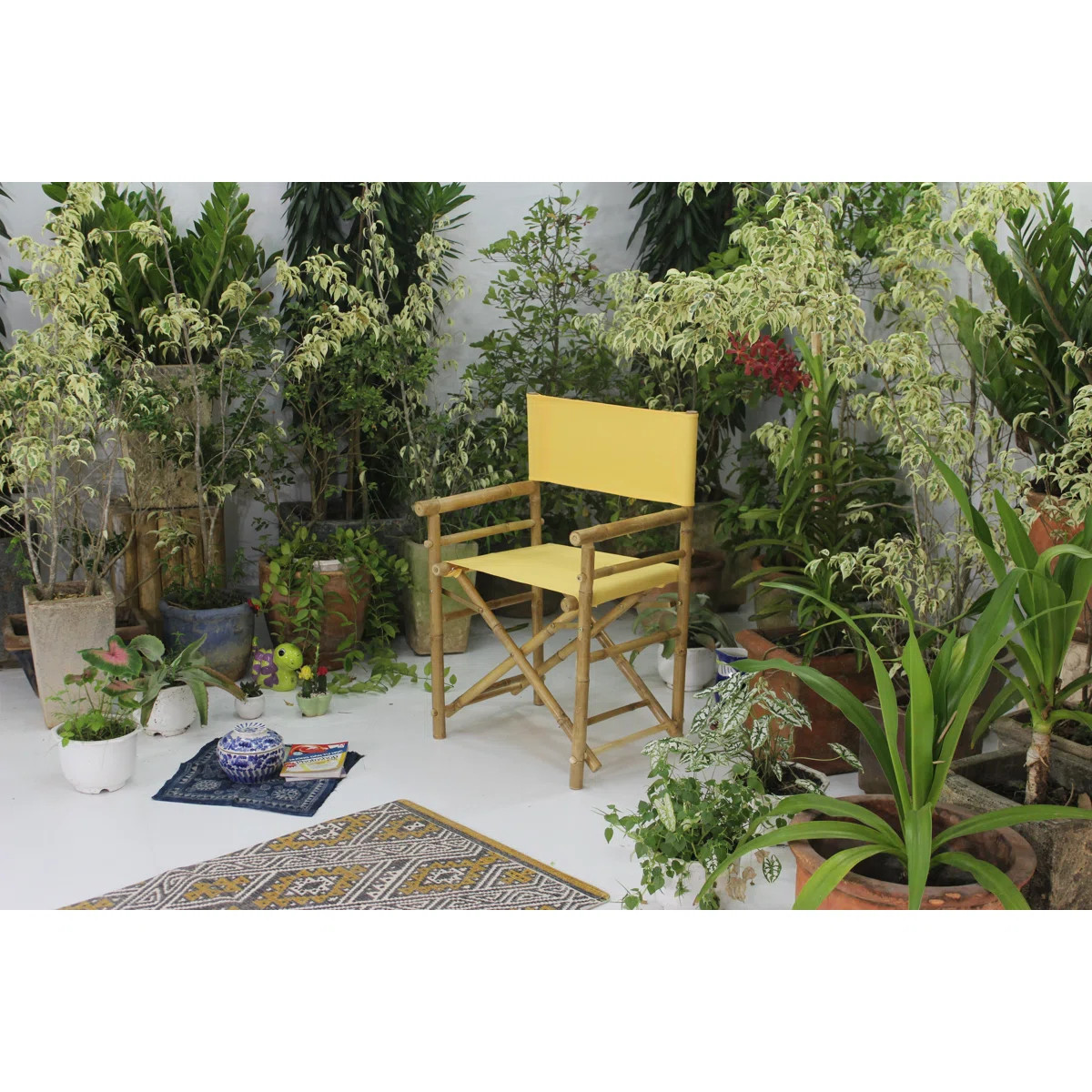 Laseter Folding Director Chair (Set of 2) | Wayfair North America