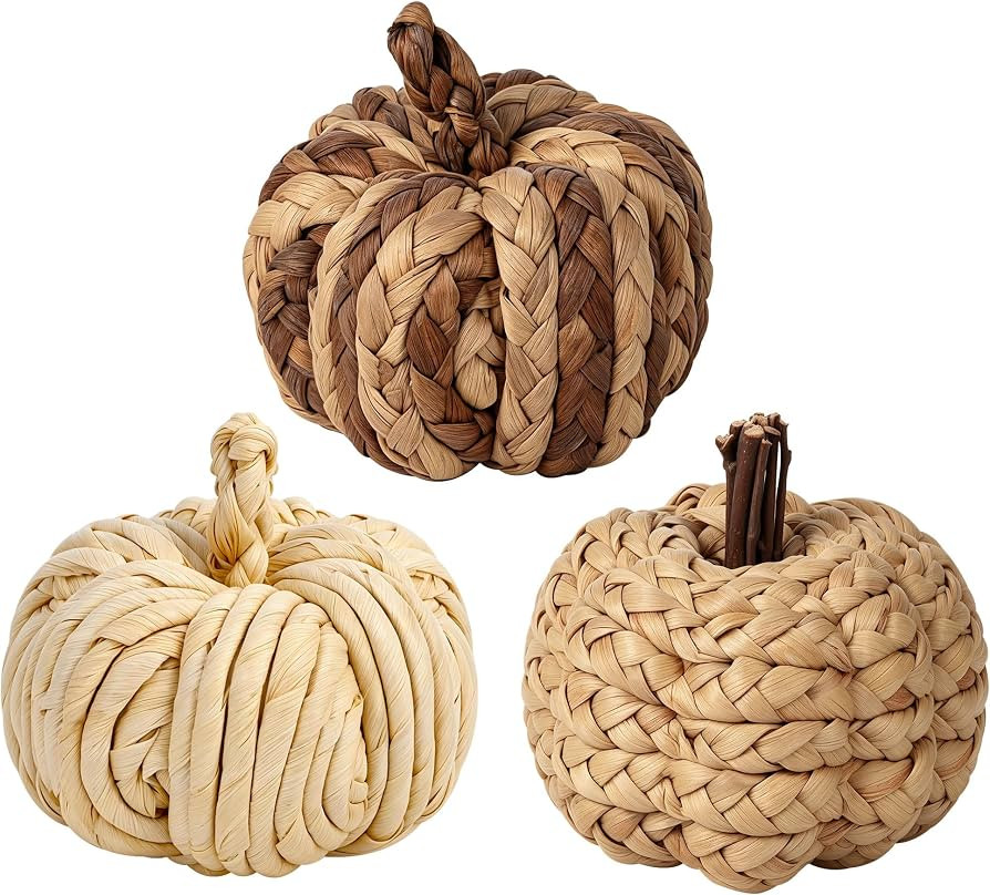 Lulu Home Set of 3 Handwoven Pumpkins Decor | Amazon (US)