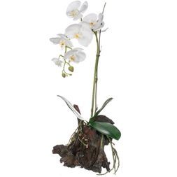 Sullivans Artificial Phalaenopsis with Bark Plant 18"H Green | Target