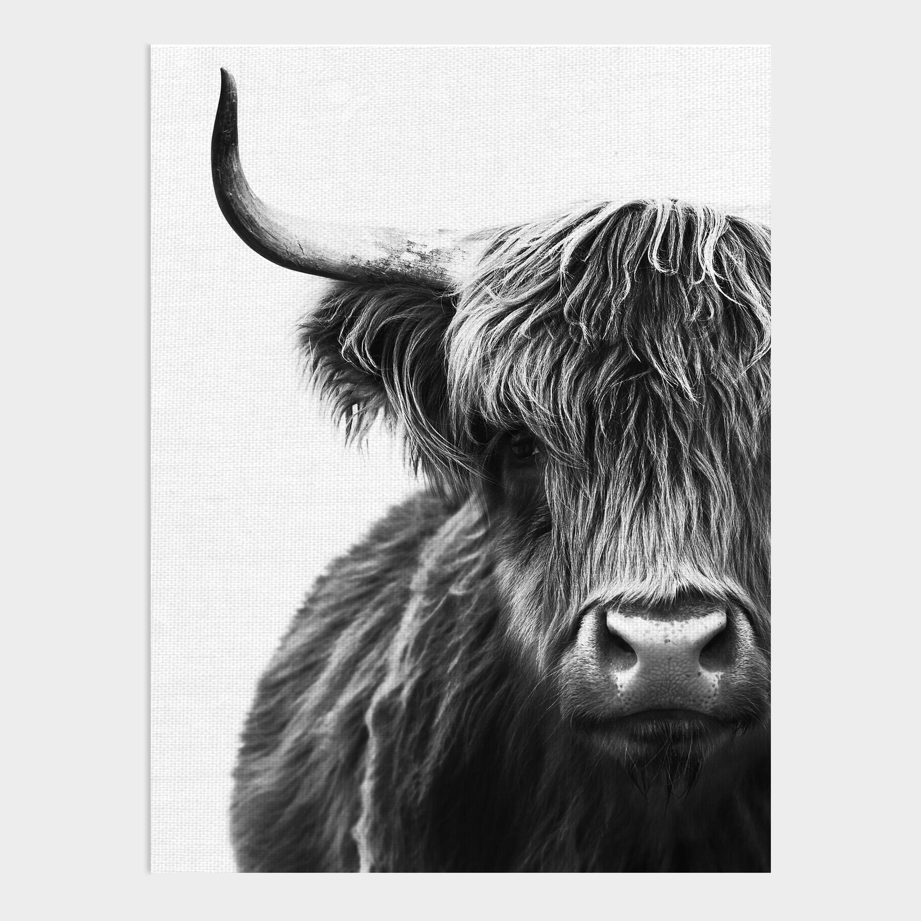 Bullish Portrait Canvas Wall Art | World Market