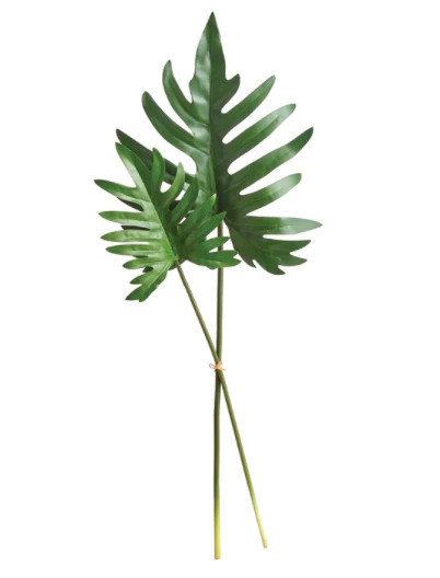 Split Leaf Selloum Stem | Megan Molten