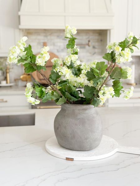 Shop the look!

Follow me @ahillcountryhome for daily shopping trips and styling tips!

Pot, Artificial plants, Kitchen, Decor


#LTKFind #LTKhome #LTKU