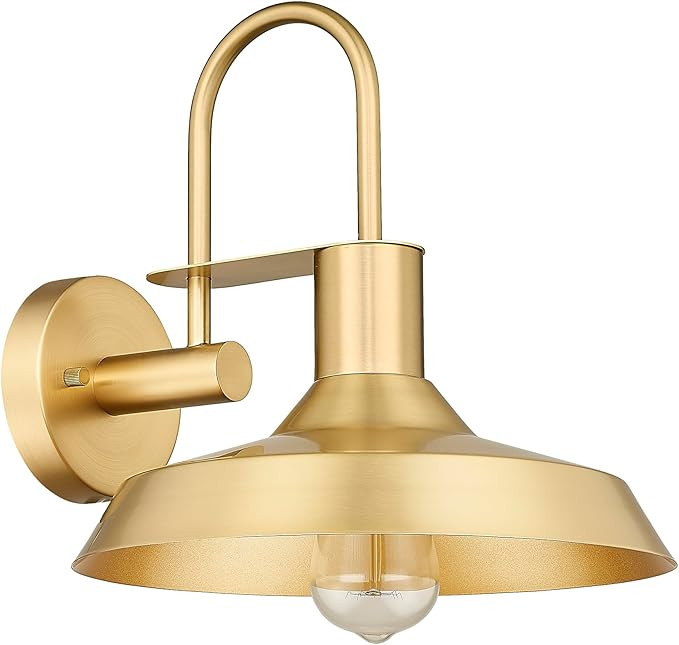 Darkaway Gooseneck Barn Light, 12inch Metal Dome Shade Farmhouse Wall Sconces, Industrial Outdoor... | Amazon (US)