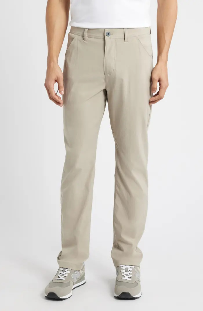Topogrid Water Repellent Pants | Nordstrom