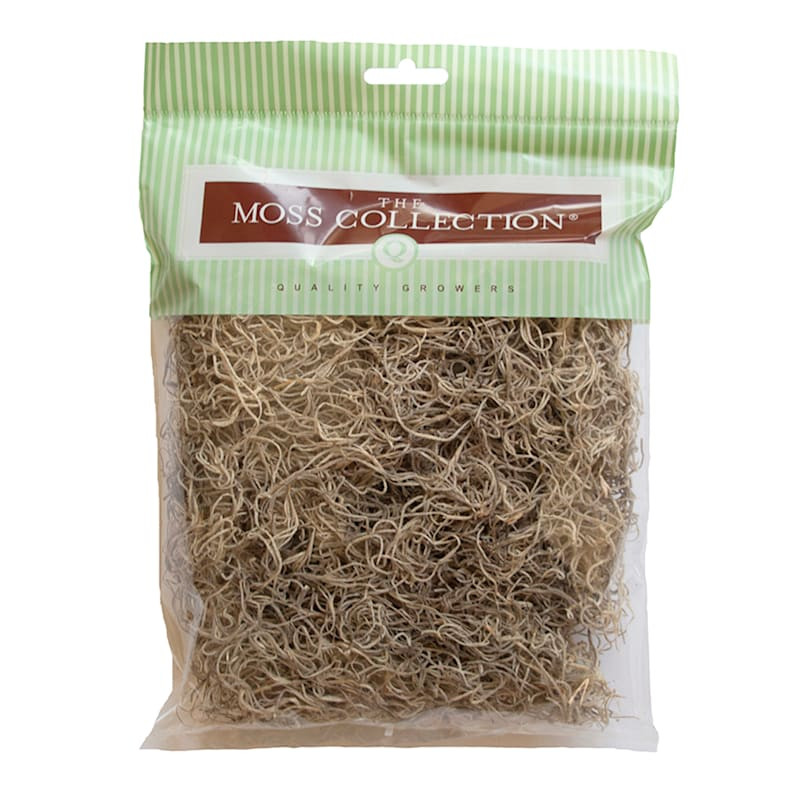Natural Spanish Moss, Small | At Home