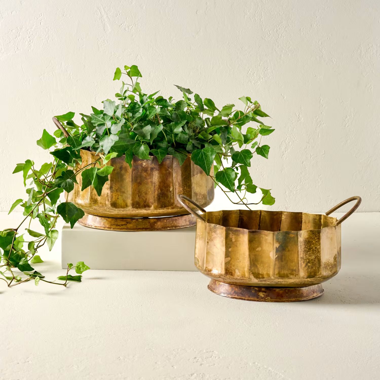 Antique Brass Planter with Handles | Magnolia