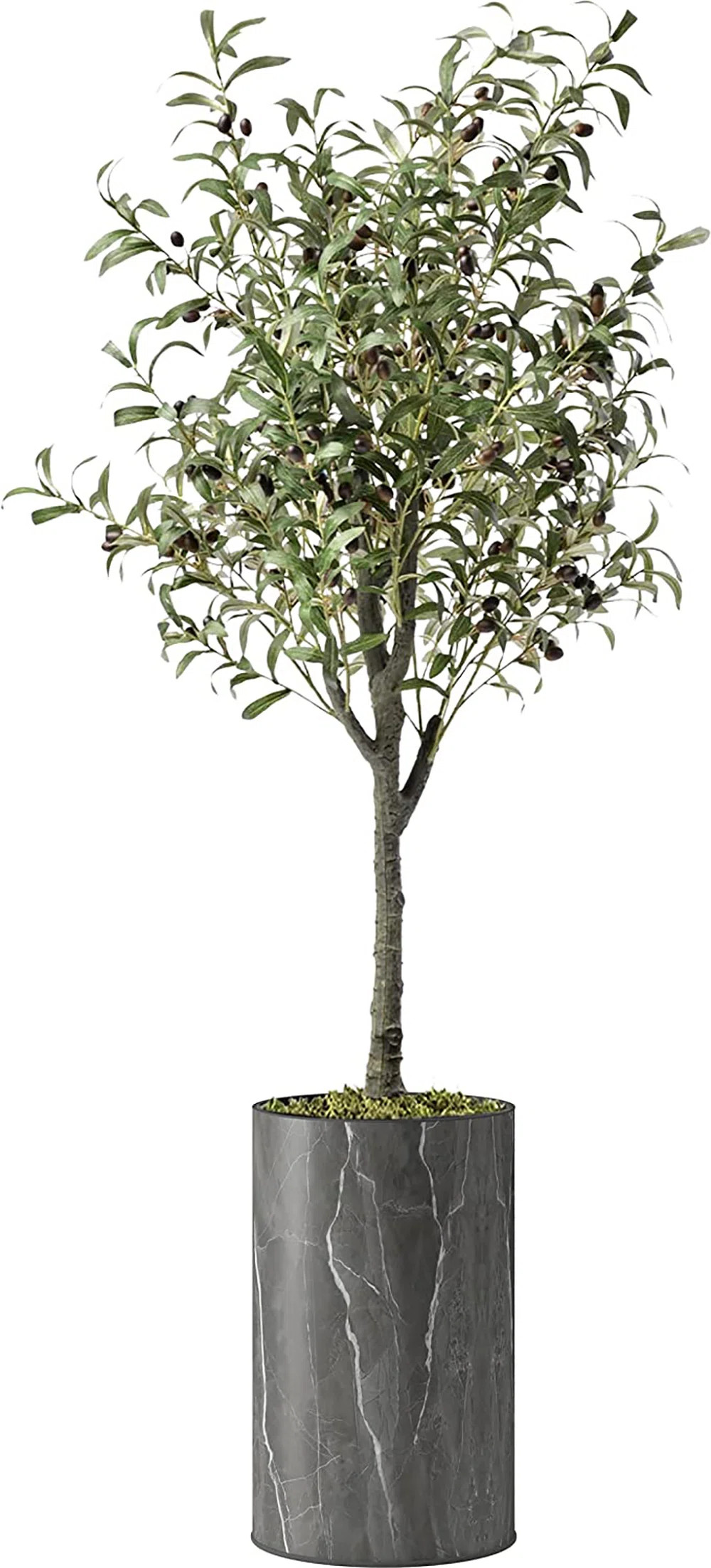 Faux Olive Tree Plant in Planter | Wayfair North America