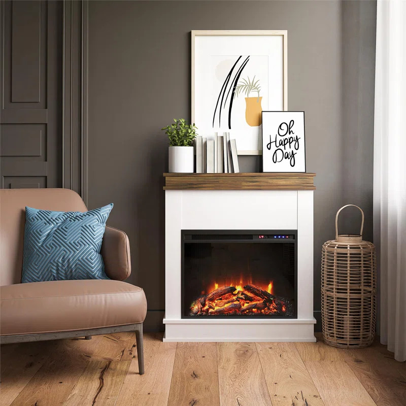 Tereza 29.7'' W Electric Fireplace | Wayfair North America